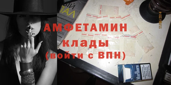 гидра Козловка