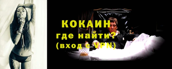 гидра Козловка