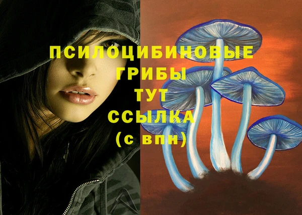 героин Кодинск