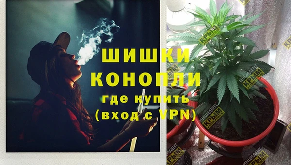 гидра Козловка