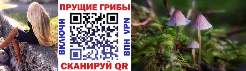 Псилоцибиновые грибы MAGIC MUSHROOMS  Суздаль 