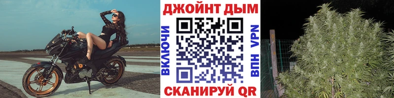 Марихуана гибрид  Суздаль 